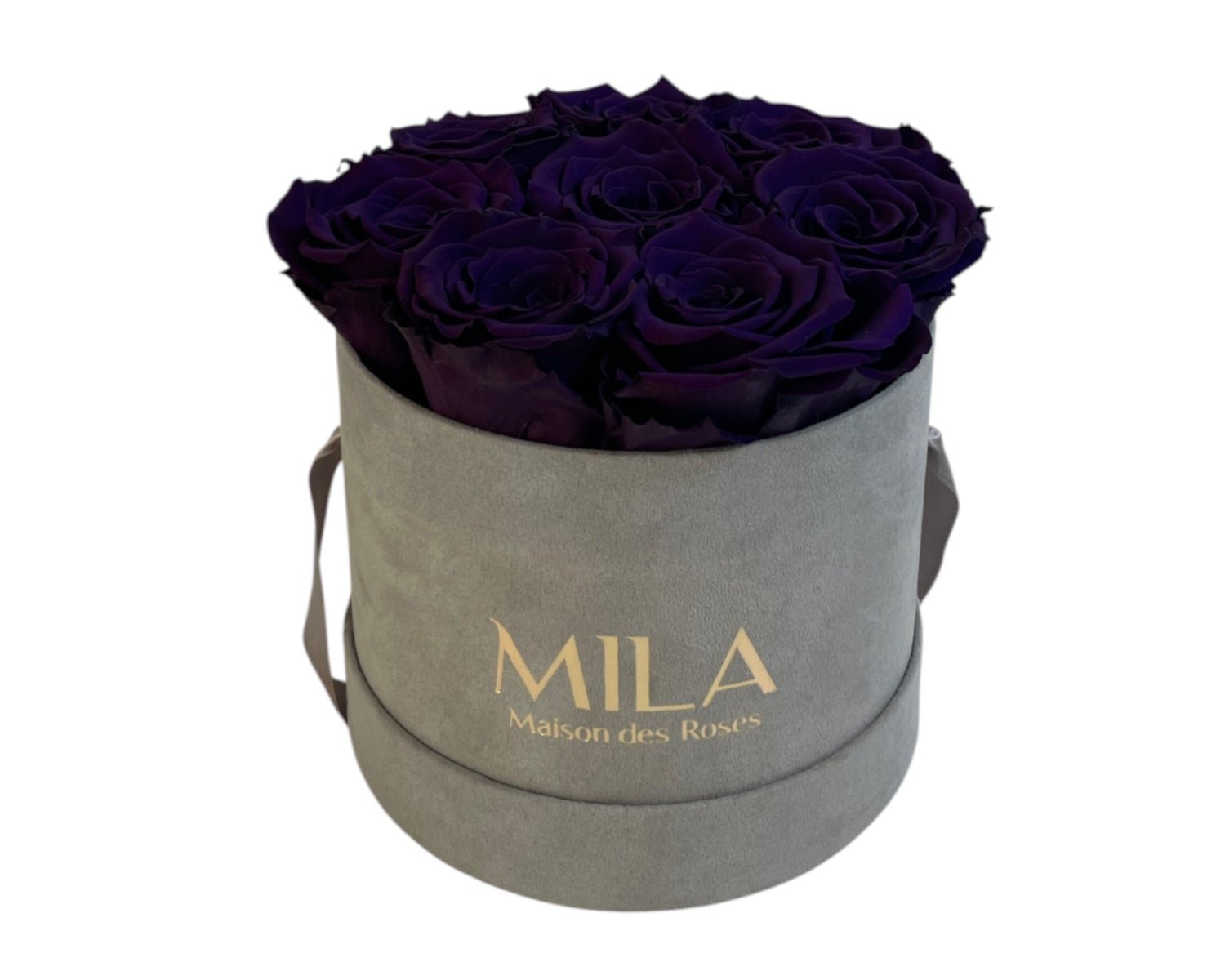 Small Velour Grey - My Store