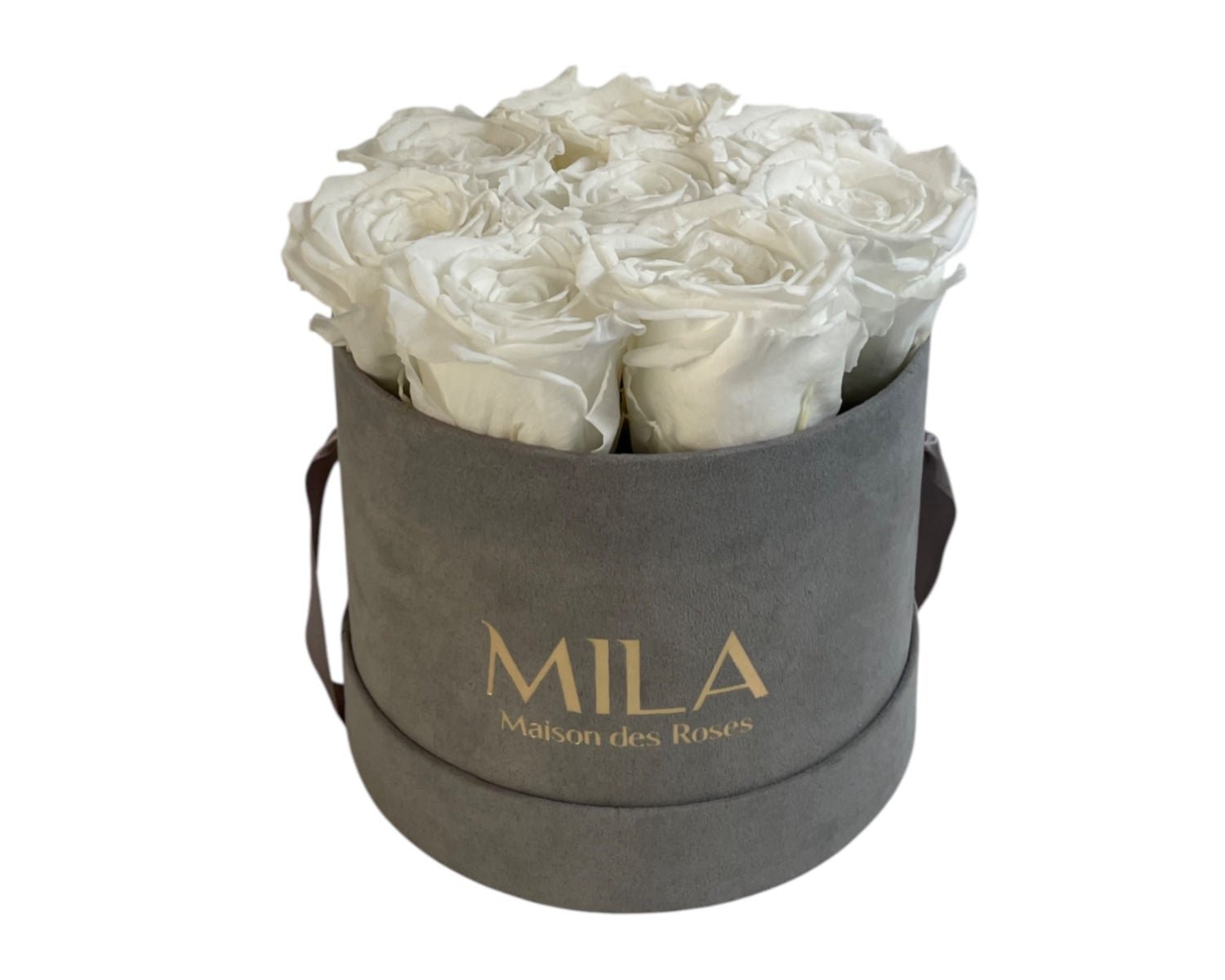 Small Velour Grey - My Store