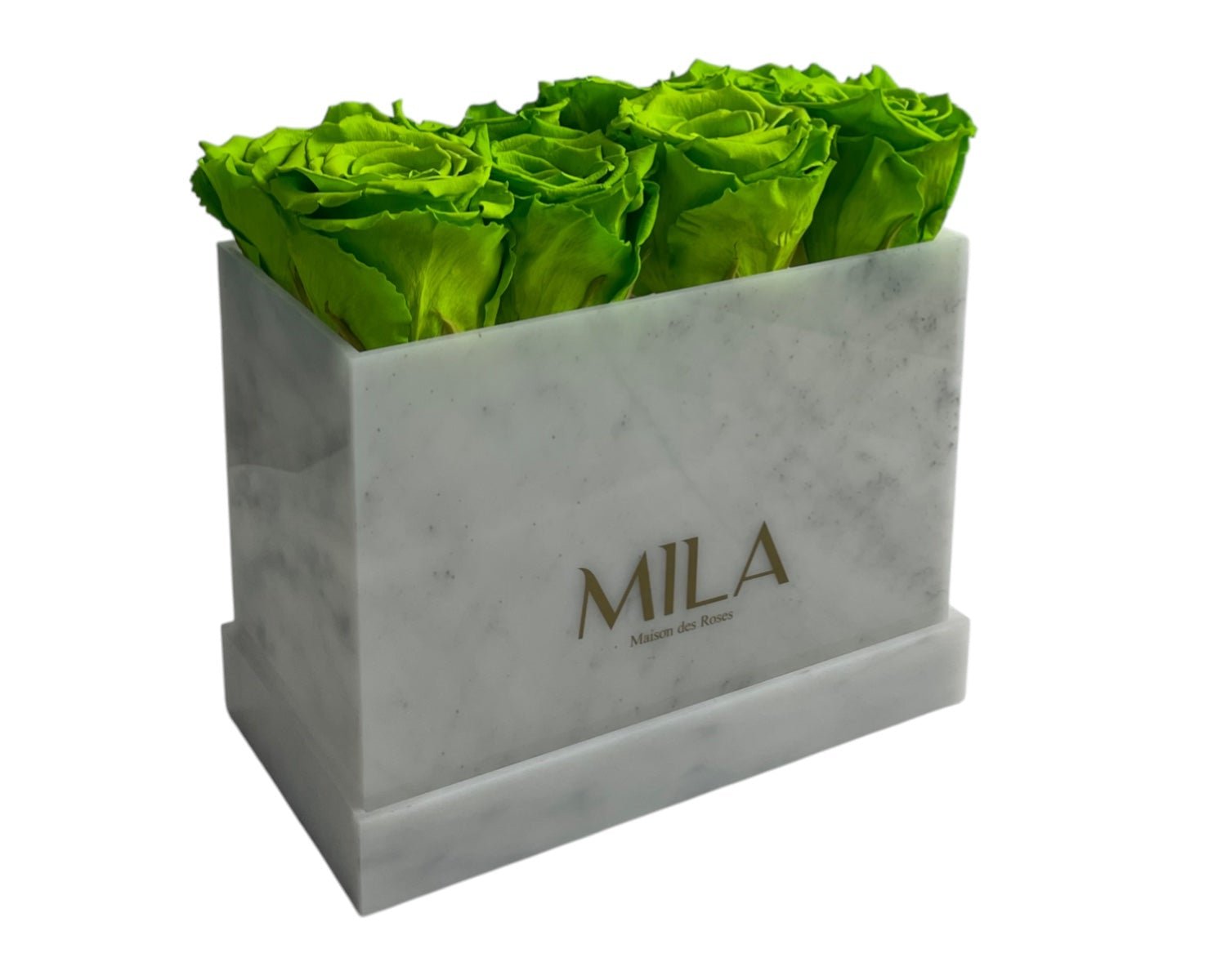 White Marble - My Store