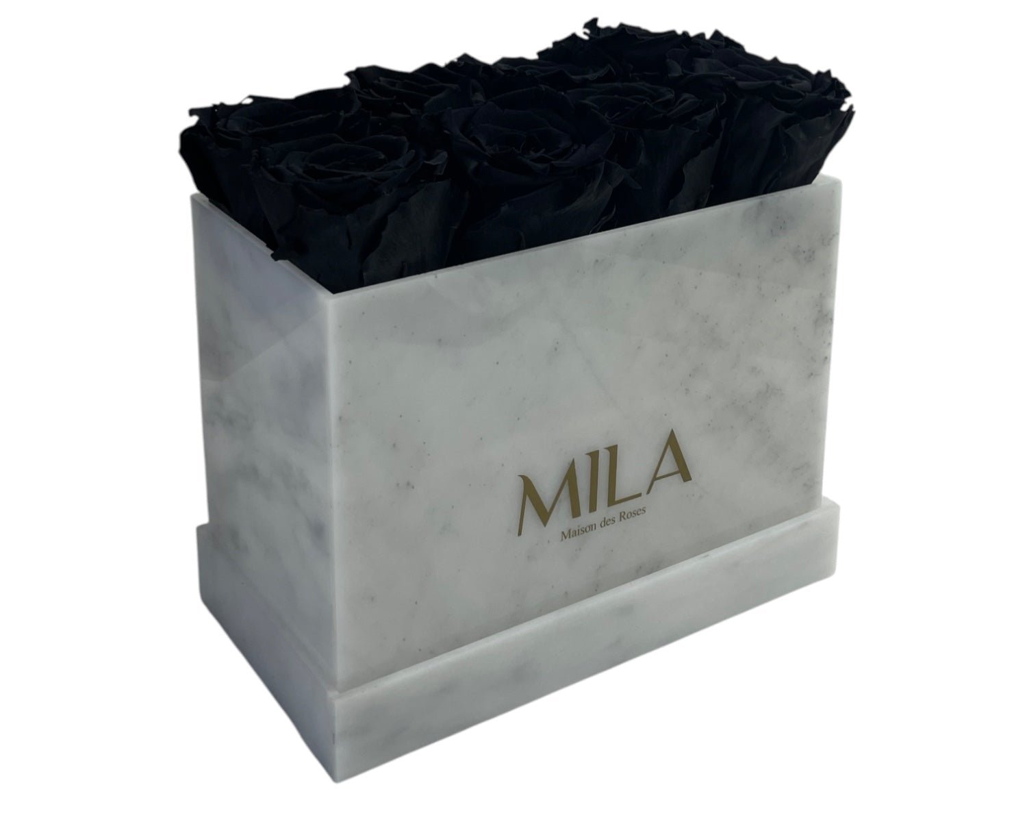 White Marble - My Store