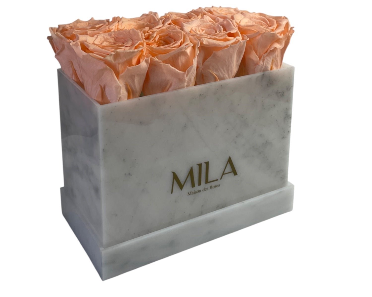 White Marble - My Store